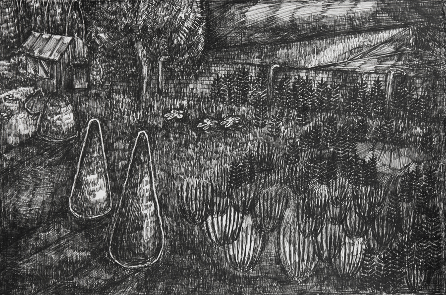 Rozemarijn Westerink - Garden, pen and ink on paper, 16 x 24 cm, 2016
